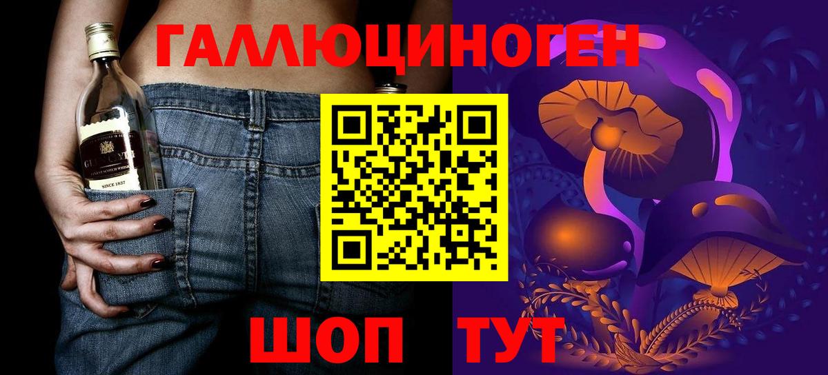Псилоцибиновые грибы Psilocybe Татарск