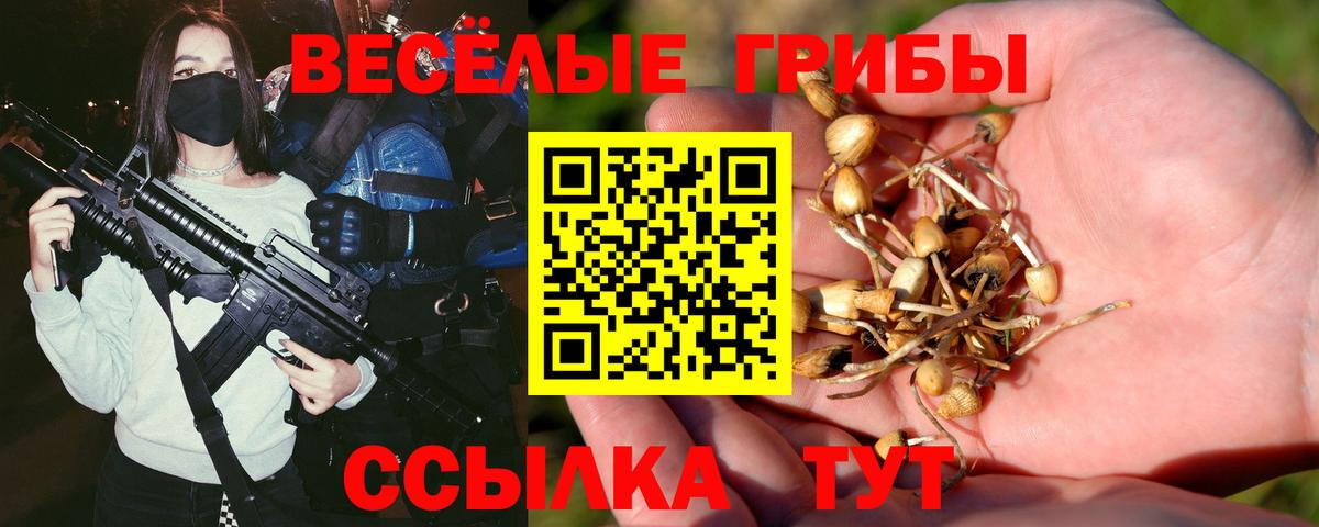 Татарск  Псилоцибиновые грибы мухоморы  Вход с VPN 